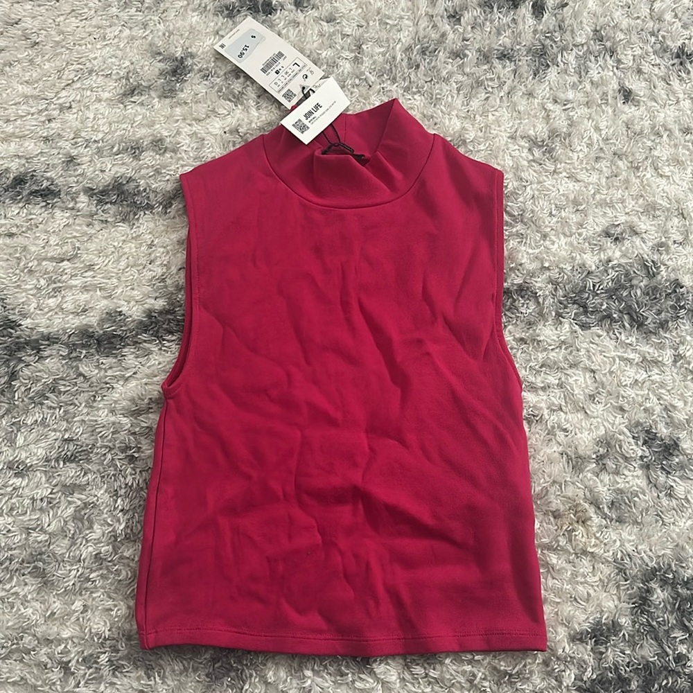 ZARA Sleeveless Sweater